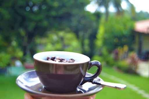 Der Grund warum man jeden Morgen Kaffee trinken sollte 1