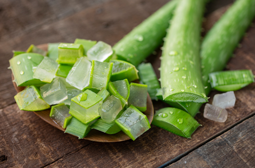 Wie man Aloe Vera direkt auf das Gesicht auftragt 4